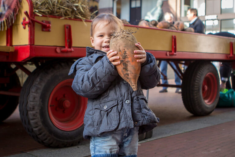 15695921948_d715453a14_c