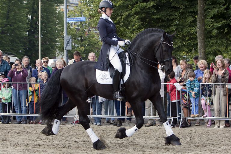 20672687974_c2c3f1b5cd_c